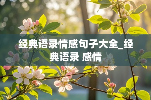 经典语录情感句子大全_经典语录 感情