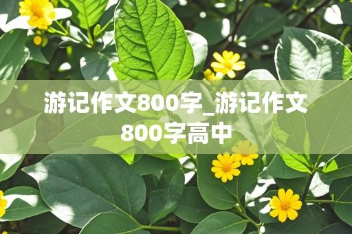 游记作文800字_游记作文800字高中