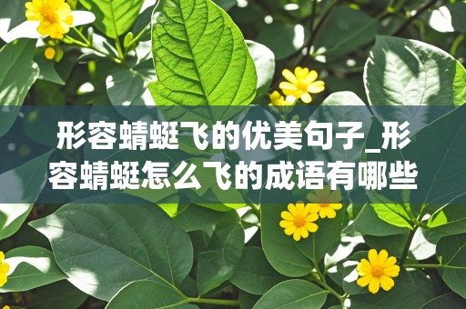 形容蜻蜓飞的优美句子_形容蜻蜓怎么飞的成语有哪些