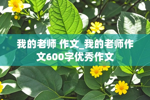 我的老师 作文_我的老师作文600字优秀作文