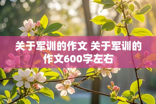 关于军训的作文 关于军训的作文600字左右