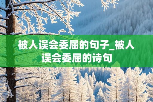 被人误会委屈的句子_被人误会委屈的诗句