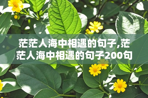 茫茫人海中相遇的句子,茫茫人海中相遇的句子200句