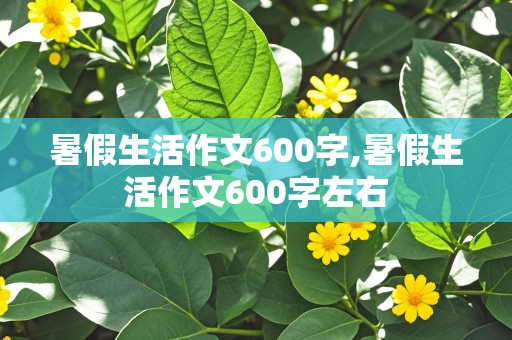 暑假生活作文600字,暑假生活作文600字左右