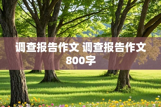 调查报告作文 调查报告作文800字