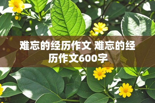 难忘的经历作文 难忘的经历作文600字