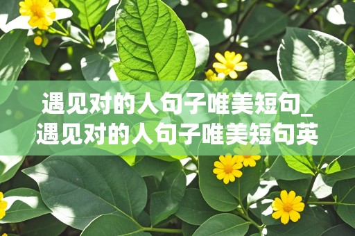 遇见对的人句子唯美短句_遇见对的人句子唯美短句英文