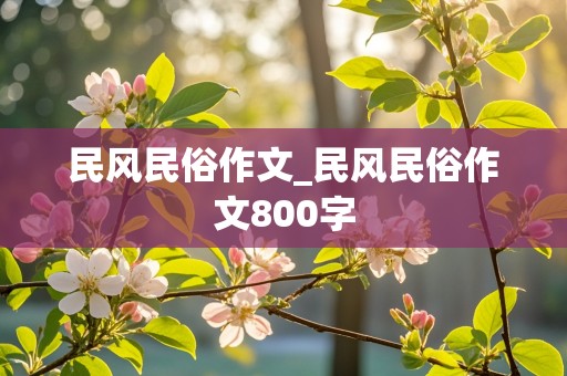 民风民俗作文_民风民俗作文800字