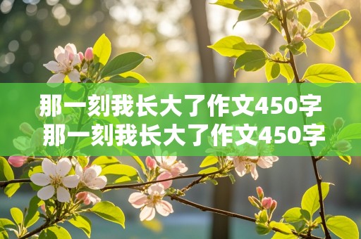 那一刻我长大了作文450字 那一刻我长大了作文450字免费