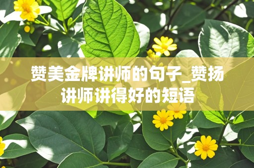 赞美金牌讲师的句子_赞扬讲师讲得好的短语