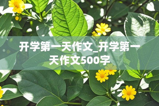 开学第一天作文_开学第一天作文500字