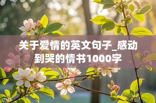 关于爱情的英文句子_感动到哭的情书1000字