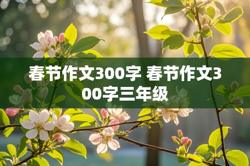 春节作文300字 春节作文300字三年级