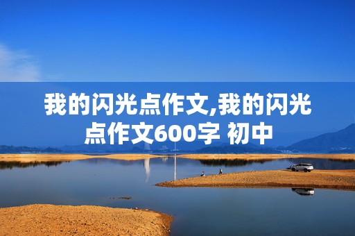 我的闪光点作文,我的闪光点作文600字 初中