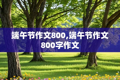 端午节作文800,端午节作文800字作文