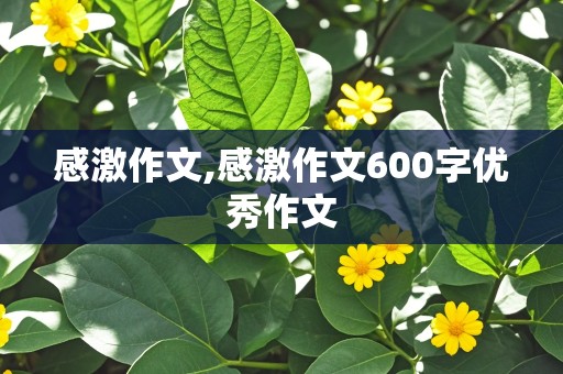 感激作文,感激作文600字优秀作文