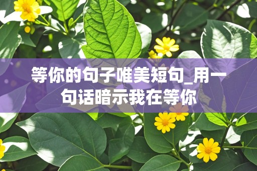 等你的句子唯美短句_用一句话暗示我在等你