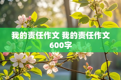 我的责任作文 我的责任作文600字