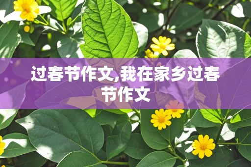 过春节作文,我在家乡过春节作文