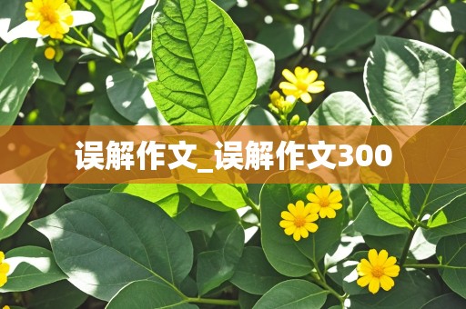 误解作文_误解作文300