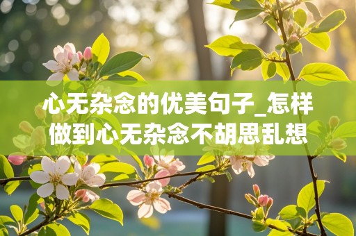 心无杂念的优美句子_怎样做到心无杂念不胡思乱想