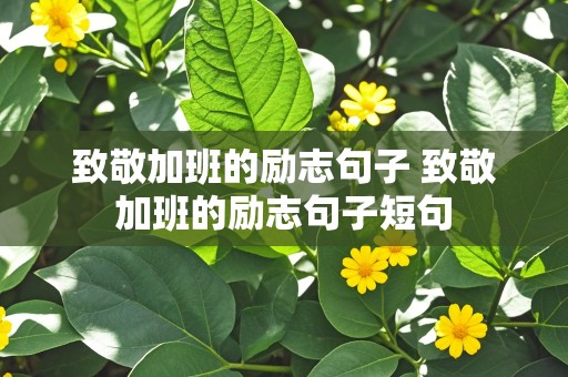 致敬加班的励志句子 致敬加班的励志句子短句