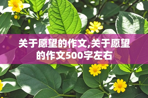 关于愿望的作文,关于愿望的作文500字左右