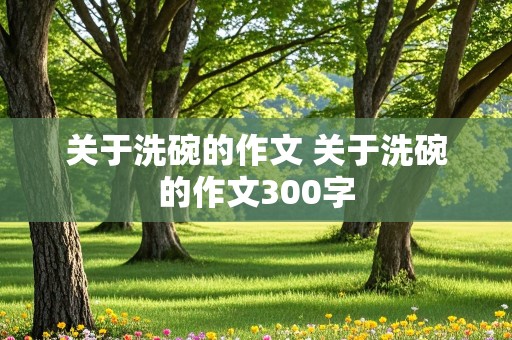 关于洗碗的作文 关于洗碗的作文300字