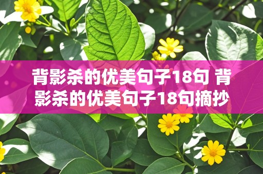 背影杀的优美句子18句 背影杀的优美句子18句摘抄