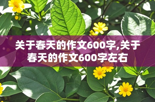 关于春天的作文600字,关于春天的作文600字左右