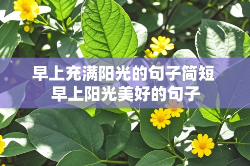 早上充满阳光的句子简短 早上阳光美好的句子