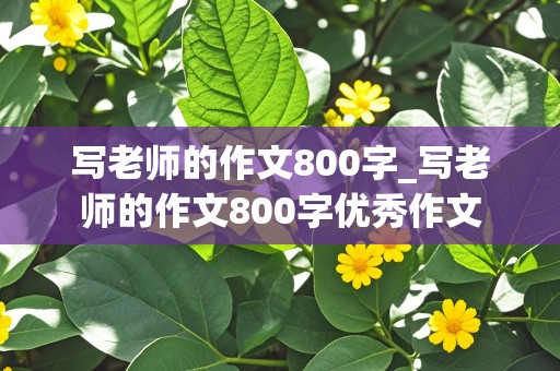 写老师的作文800字_写老师的作文800字优秀作文