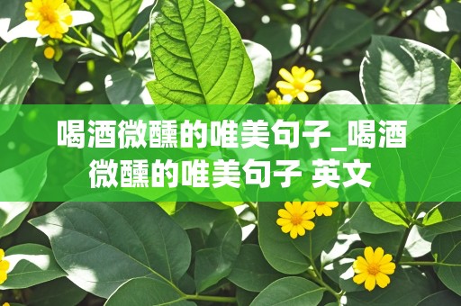 喝酒微醺的唯美句子_喝酒微醺的唯美句子 英文