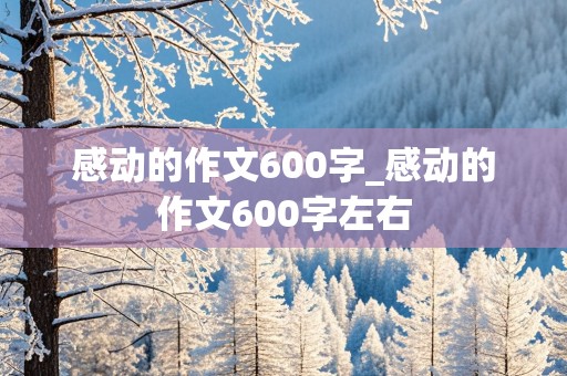 感动的作文600字_感动的作文600字左右