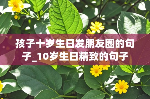 孩子十岁生日发朋友圈的句子_10岁生日精致的句子