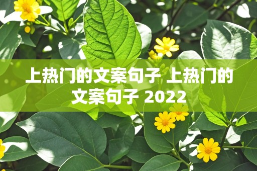 上热门的文案句子 上热门的文案句子 2022