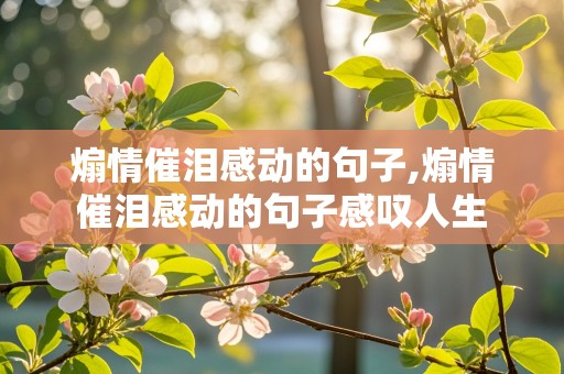 煽情催泪感动的句子,煽情催泪感动的句子感叹人生