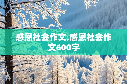 感恩社会作文,感恩社会作文600字