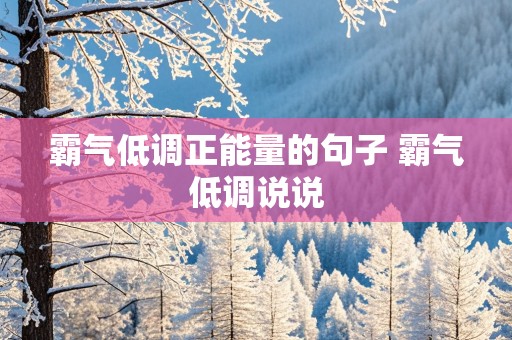 霸气低调正能量的句子 霸气低调说说