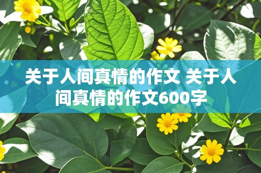 关于人间真情的作文 关于人间真情的作文600字