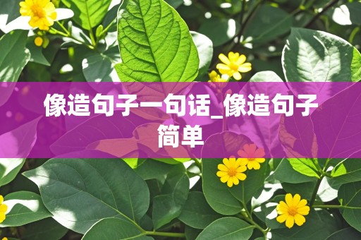 像造句子一句话_像造句子简单