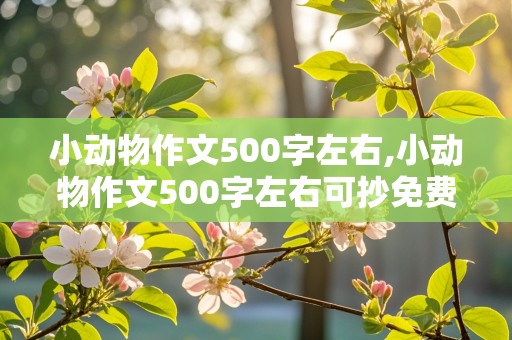 小动物作文500字左右,小动物作文500字左右可抄免费