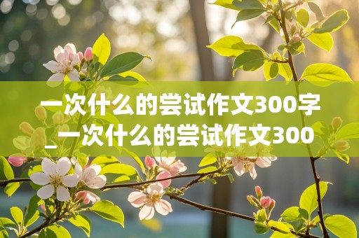 一次什么的尝试作文300字_一次什么的尝试作文300字六年级