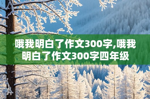 哦我明白了作文300字,哦我明白了作文300字四年级