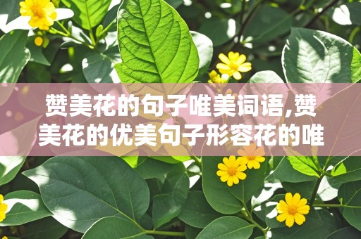 赞美花的句子唯美词语,赞美花的优美句子形容花的唯美短句