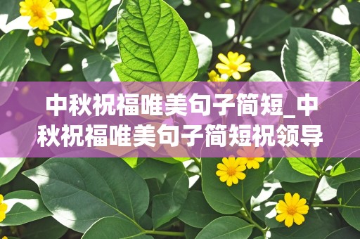 中秋祝福唯美句子简短_中秋祝福唯美句子简短祝领导