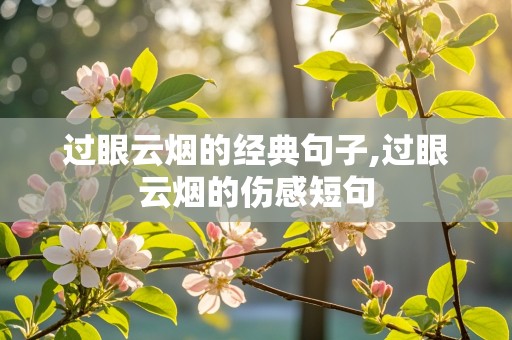 过眼云烟的经典句子,过眼云烟的伤感短句