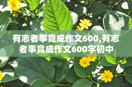 有志者事竟成作文600,有志者事竟成作文600字初中