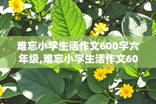 难忘小学生活作文600字六年级,难忘小学生活作文600字六年级下册