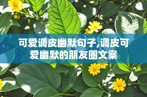 可爱调皮幽默句子,调皮可爱幽默的朋友圈文案